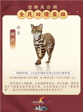 战玲珑天龙八部私服