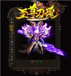 网盟天龙八部私服